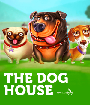 vs20doghouse