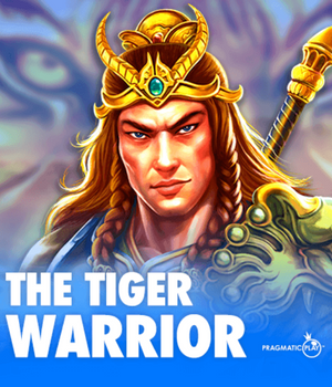 vs25tigerwar
